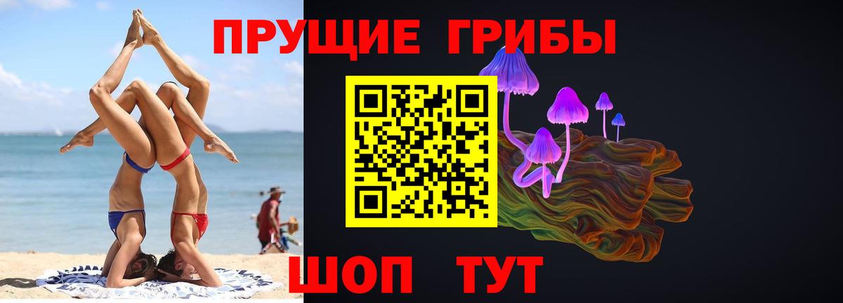 Псилоцибиновые грибы Psilocybine cubensis Саров